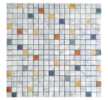 FMT006C